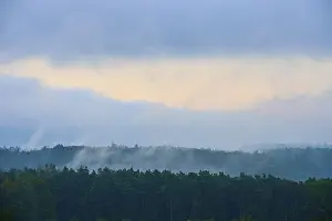 Autumn In Bavaria Germany Drucke: Fog over a dense forest at dawn