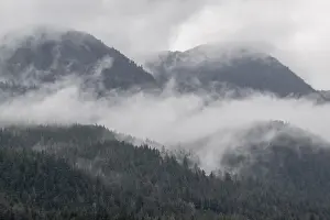 Atmospheric Mountain Landscapes Drucke: Fog on a forested mountainside