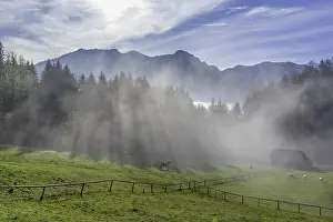 Europe Foggy Atmosphere Drucke: Fog at the Hochsteinalm, Traunkirchen