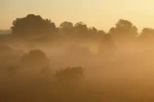 East German Landscape Photography Drucke: Fog over the meadows against the light