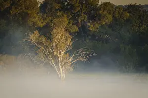 Uninhabited Nature Reserve Drucke: Fog rises from the water