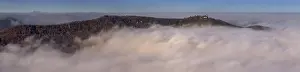 Foggy Germany Drucke: Fog, Teck Castle above the clouds