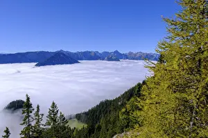 Tyrol Austria Landscape Drucke: Fog in the valley, inversion weather