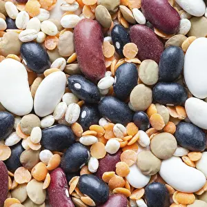 Deserted Grocery Store Drucke: Food background - various beans