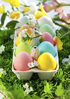 No People Food Scene Drucke: Food, Colored Easter Eggs in an egg box on grass