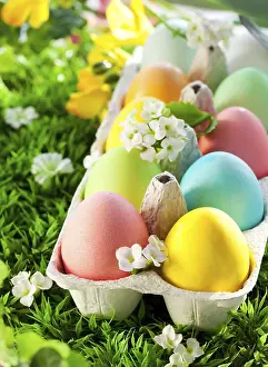Traditional Easter Food Drucke: Food, Colored Easter Eggs in an egg box on grass