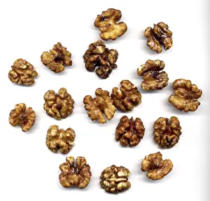Nutrition Meal Ideas Drucke: Food, Walnuts kernel over white background