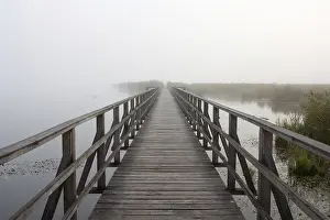 Wetland Biotope Images Drucke: footbridge