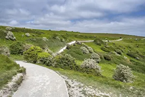 Steep Coast England Drucke: Footpath along the chalk cliffs of Dover