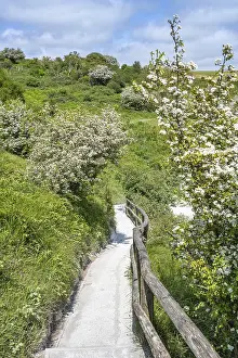 English Channel Coastline Drucke: Footpath along the chalk cliffs of Dover