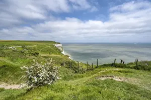 English Channel Coastline Drucke: Footpath along the chalk cliffs of Dover