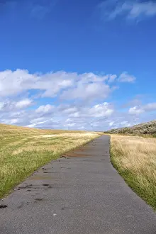 North Frisia Drucke: Footpath and cycle path on the dyke