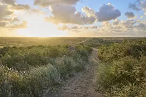 Amsterdam Water Pipe Dunes Drucke: Footpath, sand dune, dune grass