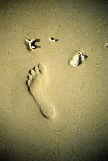 Colourful Beach Scene Drucke: Footprint on the beach