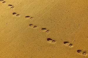 Footprints In Sand Drucke: Footprints in the sand