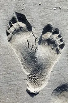 No People Beach Scene Drucke: Two footprints in the sand on a beach