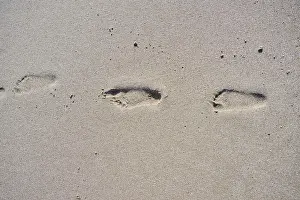 Deserted Spanish Shoreline Drucke: Footprints in the sand on a beach