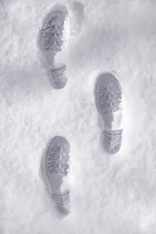 Deserted Trail Drucke: Footprints in the snow