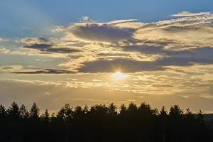 Setting Sun Overcast Sky Drucke: Forest, clouds, sky, sunset, summer