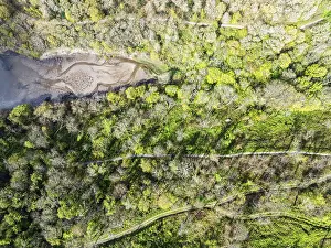 Drone Photography Devon England Drucke: Top Down over Forest from a drone