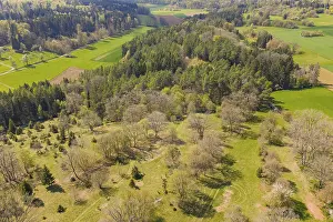 Spring Landscape Germany Drucke: Forest and green fields in a vast spring landscape