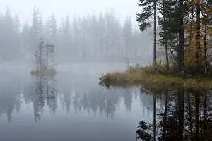Deserted Forest Lake Drucke: A forest lake