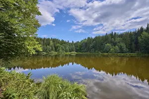 Carinthia Austria Landscape Drucke: Forest lake, reflection, sky, clouds