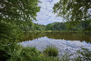 Deserted Forest Lake Drucke: Forest lake, reflection, sky, clouds