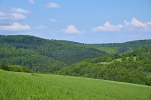 Forest Landscape Germany Drucke: Forest landscape, meadow, clouds