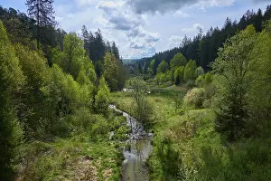 Uninhabited Valley Landscape Drucke: Forest, meadow, stream, valley