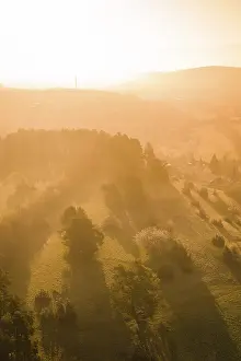 Forest Landscape Germany Drucke: Forest and meadows in sunset light with long shadows