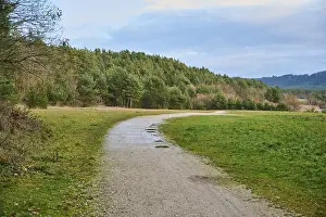 Bavaria Forest Path Drucke: Forest path on the edge of the forest in autumn