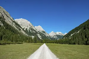Karwendel Mountains Scenery Drucke: Forest path in the Karwendel valley