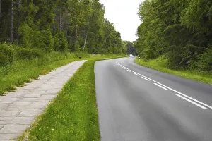 Rural Landscape Photo Drucke: The forest road