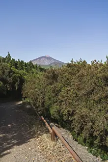 Tenerife Volcanic Area Drucke: Forest road. Teide volcano in the background