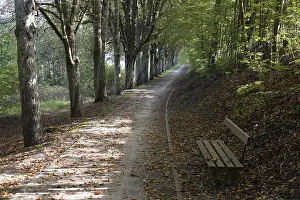 Central Europe Walking Paths Drucke: Forest trail, forest, landscape