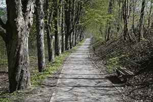 German Federal Republic Trails Drucke: Forest trail, spring, trail, forest