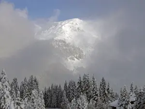 Uninhabited Mountain Scenery Drucke: Forest, tree, trees, winter, snow