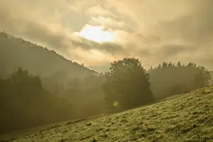 Cloud Covered Mountains Drucke: Forest, valley, meadow, clouds
