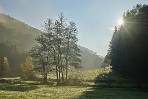 Sunrise In Europe Drucke: Forest, valley, meadow, clouds