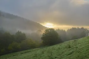 Sunrise In The Odenwald Drucke: Forest, valley, meadow, clouds