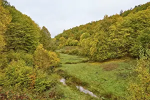 Spessart Valley Scenery Drucke: Forest, valley, stream, meadow