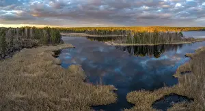Sunset In The Woods Drucke: Forested landscape close to sunset