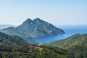 Uninhabited Shoreline Photo Drucke: Forested mountains on the coast