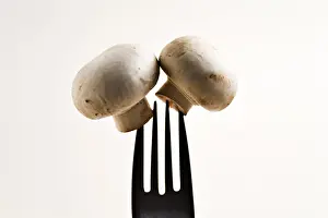 Button Mushroom Nutrition Drucke: Fork holding two button mushrooms