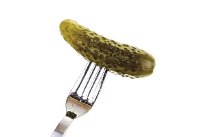 Food Photography Fork Drucke: Fork holding a pickle