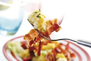Food Still Life Studio Shot Drucke: Fork with scrambled egg, bacon and chives