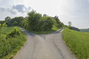 Central Europe Empty Roads Drucke: Forked road in spring, Konigheim