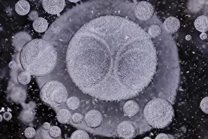 Northern Germany Winter Scene Drucke: Forms of ice in a puddle, ice crystals