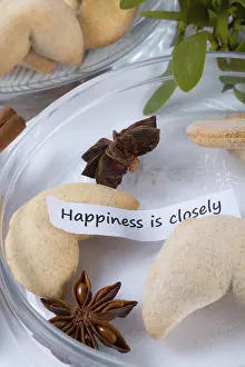 Fortune Cookie Drucke: Fortune cookie